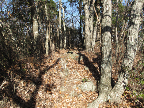 20140103hike (127)